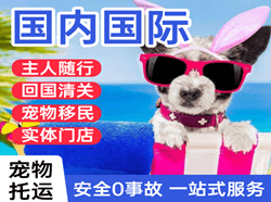 黄山屯溪机场空运国际宠物托运 【国